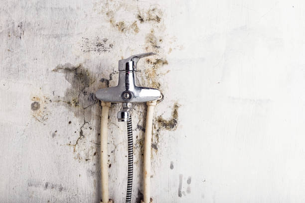 Best Residential Mold Removal  in Rshfield Hills, MA